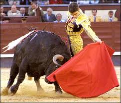 bull"fight"